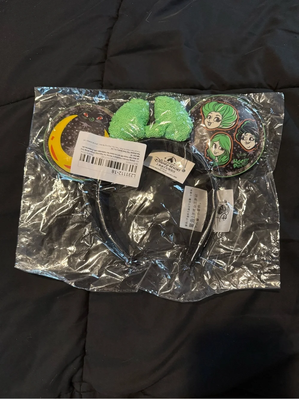 Hocus Pocus Mickey Ears